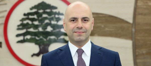 نائب رئيس الحكومة اللبنانية غسان حاصباني - سبوتنيك عربي