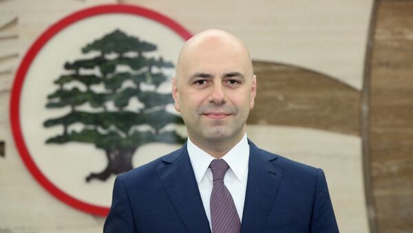 نائب رئيس الحكومة اللبنانية غسان حاصباني - سبوتنيك عربي