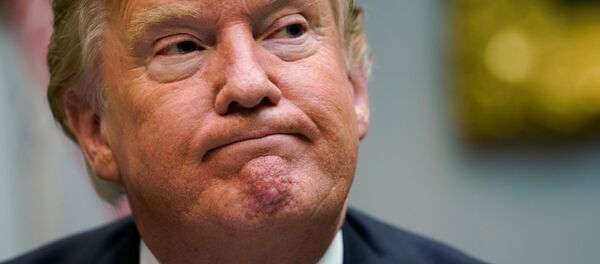 الرئيس دونالد ترامب في البيت الأبيض في واشنطن، الولايات المتحدة 23 يناير/ كانون الثاني 2019 - سبوتنيك عربي