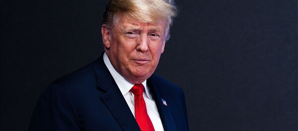 الرئيس دونالد ترامب خلال قمة المجموعة 20 في بوينس آيروس، الأرجنتين 30 نوفمبر/ تشرين الثاني 2018 - سبوتنيك عربي