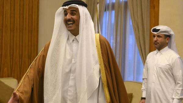 أمير قطر تميم بن حمد آل ثاني - سبوتنيك عربي