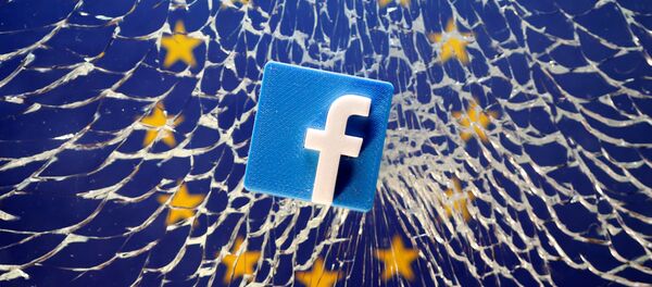 فيسبوك - سبوتنيك عربي