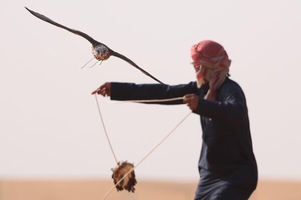 مهرجان الملك عبد العزيز للصقور - سبوتنيك عربي