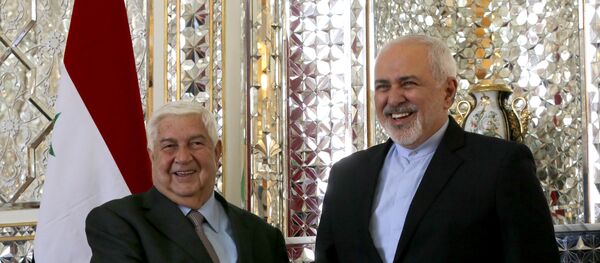 وزير الخارجية الإيراني محمد جواد ظريف خلال لقاءه في طهران مع وزير الخارجية السوري وليد المعلم - سبوتنيك عربي