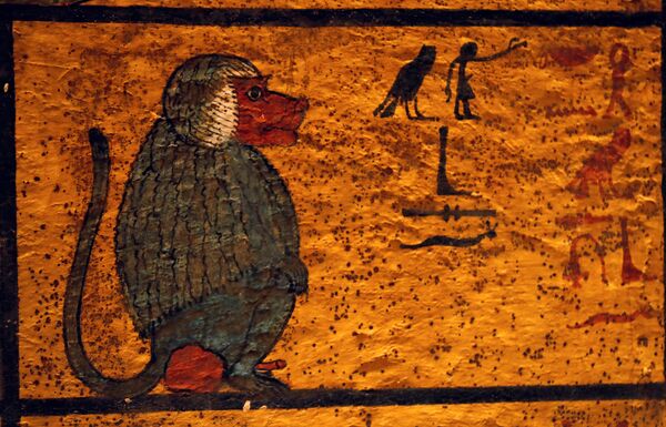 رسومات مصرية قديمة على جدار المقبرة التي تم تجديدها حديثاً للفرعون الشاب الملك توت عنخ أمون في وادي الملوك بالأقصر رسومات مصرية قديمة على جدار المقبرة التي تم تجديدها حديثاً للفرعون الشاب الملك توت عنخ أمون في وادي الملوك بالأقصر - سبوتنيك عربي