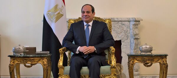 الرئيس المصري عبد الفتاح السيسي خلال لقائه مع وزير الخارجية الأمريكي مايك بومبيو في القاهرة - سبوتنيك عربي