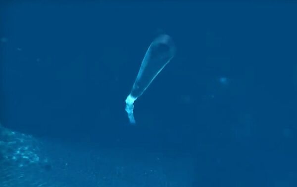 آلة بوسيدون الغواصة - سبوتنيك عربي