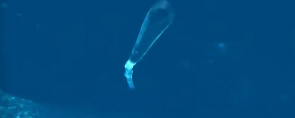 آلة بوسيدون الغواصة - سبوتنيك عربي