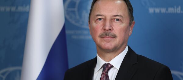 سفير روسيا الاتحادية إلى سوريا الكسندر يفيموف، في دمشق - سبوتنيك عربي