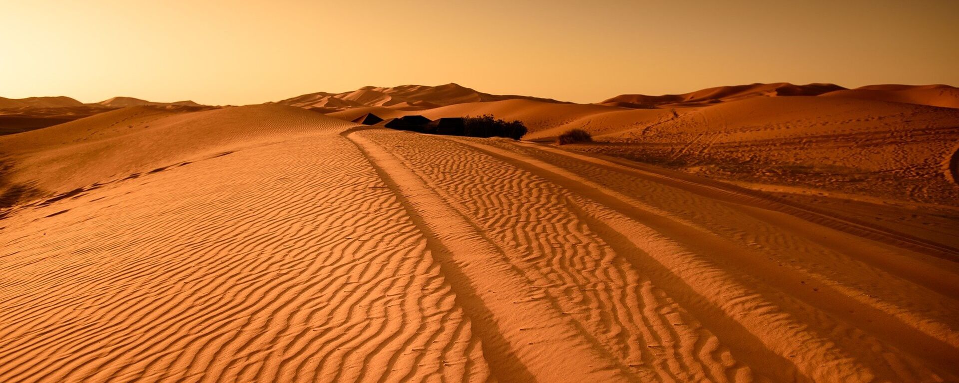 الصحراء - سبوتنيك عربي, 1920, 14.02.2025