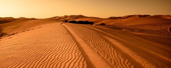 الصحراء - سبوتنيك عربي