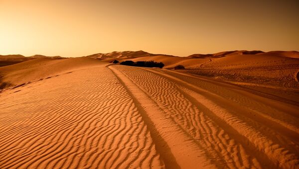 الصحراء - سبوتنيك عربي
