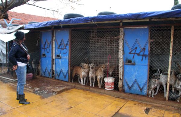 آنّا أورفلي آنّا أورفلي - سبوتنيك عربي