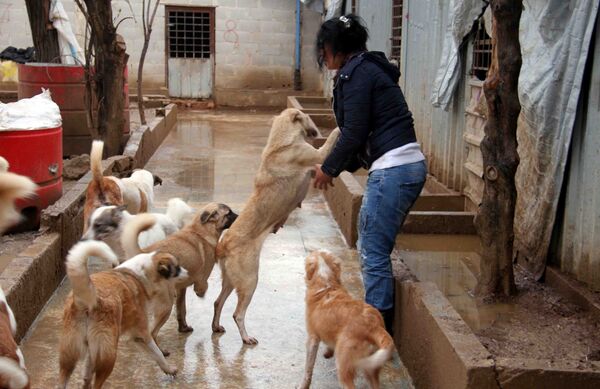 آنّا أورفلي آنّا أورفلي - سبوتنيك عربي