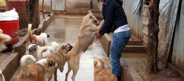 آنّا أورفلي  - سبوتنيك عربي