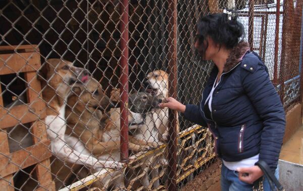 آنّا أورفلي  - سبوتنيك عربي