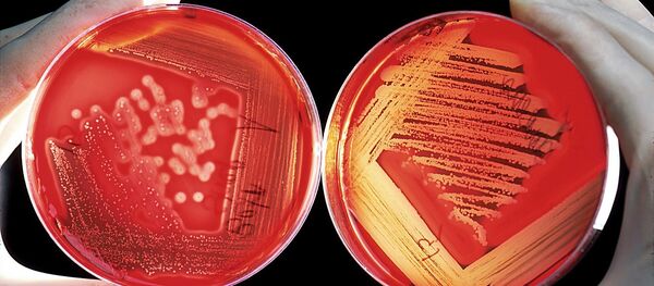 تجارب علمية - سبوتنيك عربي