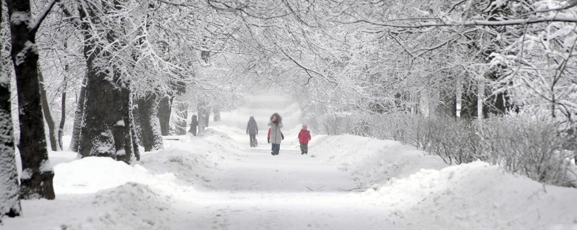 موسكو تشهد تساقط ثلوج كثيفة ليلة 12-13 فبراير/ شباط، سجلت رقما قياسيا مقارنة بعام 1995 - سبوتنيك عربي, 1920, 11.12.2022