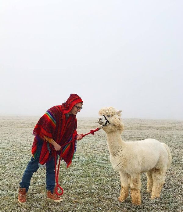 الروسي إيليا سميرنوف صاحب مزرعة لحيوان الألبكة الروسي إيليا سميرنوف صاحب مزرعة لحيوان الألبكة - سبوتنيك عربي