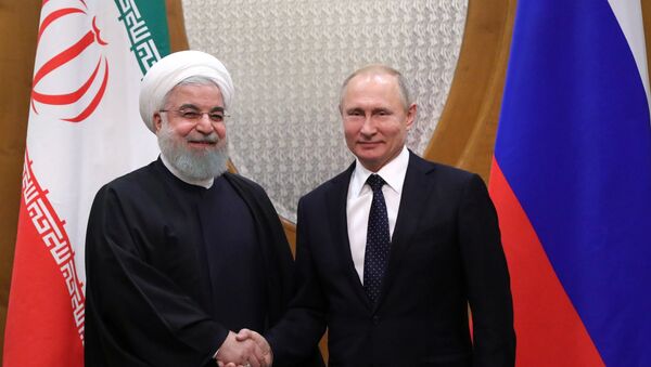 الرئيس الروسي فلاديمير بوتين ونظيره الإيراني حسن روحاني في لقاء سوتشي، روسيا 14 فبراير/ شباط 2019 - سبوتنيك عربي