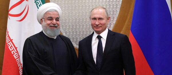 الرئيس الروسي فلاديمير بوتين ونظيره الإيراني حسن روحاني في لقاء سوتشي، روسيا 14 فبراير/ شباط 2019 - سبوتنيك عربي