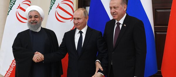 الرئيس الروسي فلاديمير بوتين ونظيره التركي رجب طيب أردوغان والإيراني حسن روحاني في لقاء سوتشي، روسيا 14 فبراير/ شباط 2019 - سبوتنيك عربي