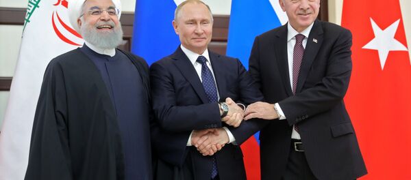 الرئيس الروسي فلاديمير بوتين ونظيره التركي رجب طيب أردوغان والإيراني حسن روحاني في لقاء سوتشي، روسيا 14 فبراير/ شباط 2019 - سبوتنيك عربي