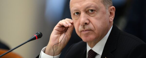 الرئيس التركي رجب طيب أردوغان في لقاء سوتشي، روسيا 14 فبراير/ شباط 2019 - سبوتنيك عربي