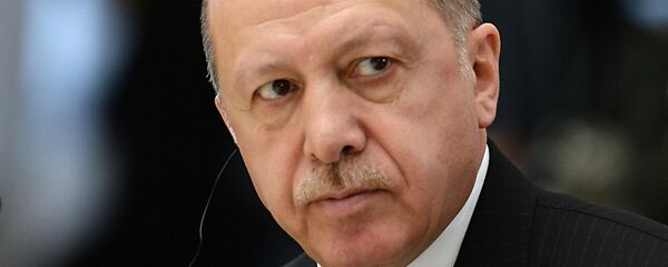 الرئيس التركي رجب طيب أردوغان في لقاء سوتشي، روسيا 14 فبراير/ شباط 2019 - سبوتنيك عربي