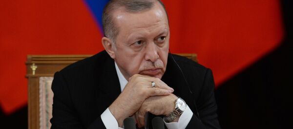 الرئيس التركي رجب طيب أردوغان في لقاء سوتشي، روسيا 14 فبراير/ شباط 2019 - سبوتنيك عربي