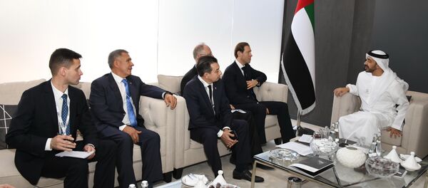 معرض آيدكس 2019 في أبو ظبي، الإمارات 18فبراير/ شباط 2019 - سبوتنيك عربي