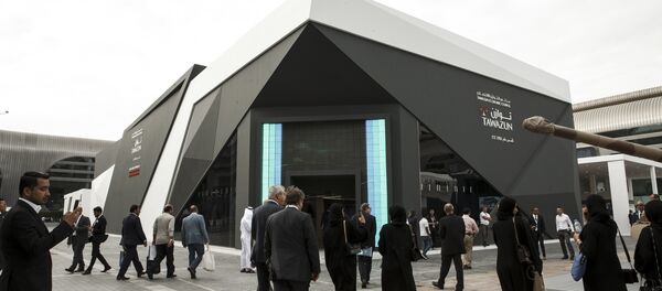 معرض آيدكس 2019 في أبو ظبي، الإمارات 18 فبراير/ شباط 2019 - سبوتنيك عربي