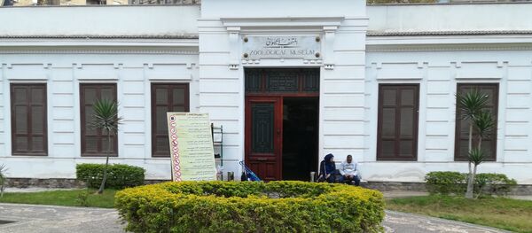 المتحف الحيواني في حديقة الحيوان في الجيزة بالقاهرة - سبوتنيك عربي