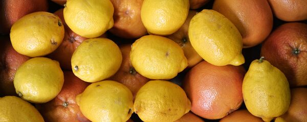 جريب فروت - سبوتنيك عربي