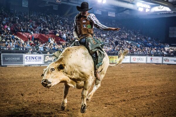 25 متنافسا يشارك في سباق لركوب الثيران Tuff Hedeman Bull Riding Tour للفوز بجائزة مالية قدرها 30 ألفا دولار في تكساس، الولايات المتحدة 16 فبراير/ شباط 2019 - سبوتنيك عربي