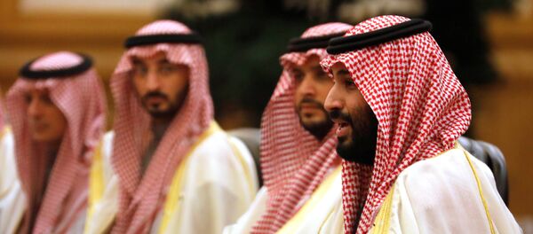 ولي العهد السعودي الأمير محمد بن سلمان - سبوتنيك عربي