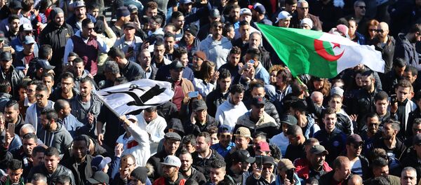 احتجاجات الجزائر - سبوتنيك عربي