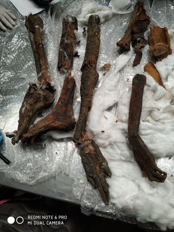 تهريب مومياوات - سبوتنيك عربي