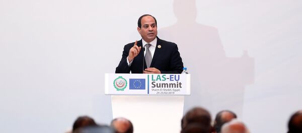 الرئيس المصري عبد الفتاح السيسي - سبوتنيك عربي