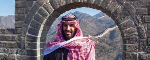 ولي العهد السعودي الأمير محمد بن سلمان فوق سور الصين العظيم ولي العهد السعودي الأمير محمد بن سلمان فوق سور الصين العظيم - سبوتنيك عربي