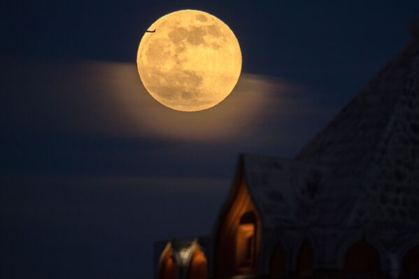 ظهور القمر العملاق في موسكو، لأول مرة هذا العام في روسيا 19 فبراير/ شباط 2019 - سبوتنيك عربي