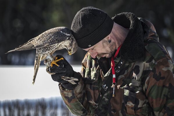 عرض لطيور الصقور سوكول شو (عرض الصقور) في حديقة سوكولنيكي في موسكو - سبوتنيك عربي