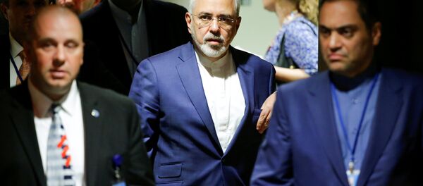 وزير الخارجية الإيراني محمد جواد ظريف وزير الخارجية الإيراني محمد جواد ظريف - سبوتنيك عربي