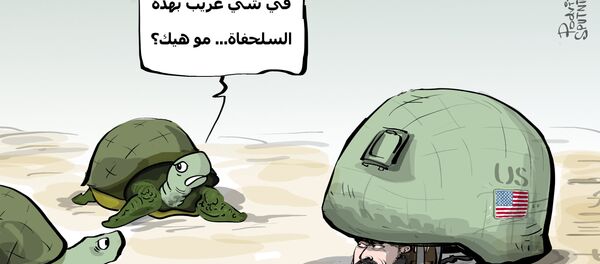 شو هالسلحفاة الغريبة! - سبوتنيك عربي