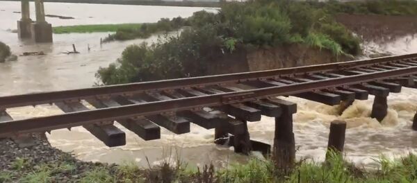 فيضانات غمرت ضفتي نهر بشمال كاليفورنيا - سبوتنيك عربي