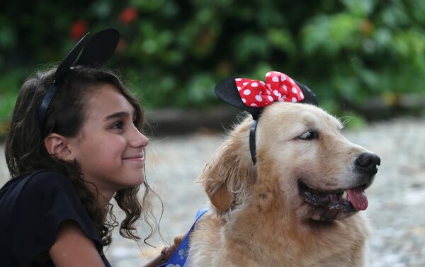 كلب في مهرجان لاستعراض الكلاب في ريو دي جانيرو في البرازيل كلب في مهرجان لاستعراض الكلاب في ريو دي جانيرو في البرازيل - سبوتنيك عربي