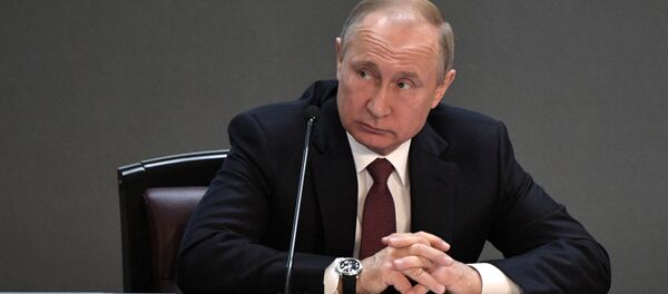 الرئيس الروسي فلاديمير بوتين - سبوتنيك عربي