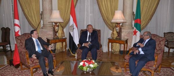 اجتماع وزراء خارجية جوار ليبيا في القاهرة - سبوتنيك عربي