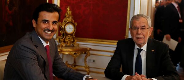 أمير قطر تميم بن حمد  مع الرئيس النمساوي ألكسندر فان دير بيلين - سبوتنيك عربي