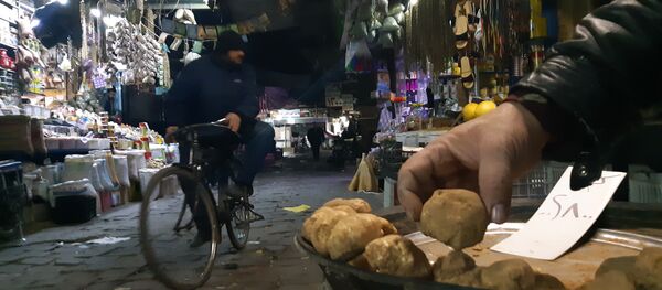 السماء تهدي السوريين كمأة بنحو نصف مليار دولار - سبوتنيك عربي